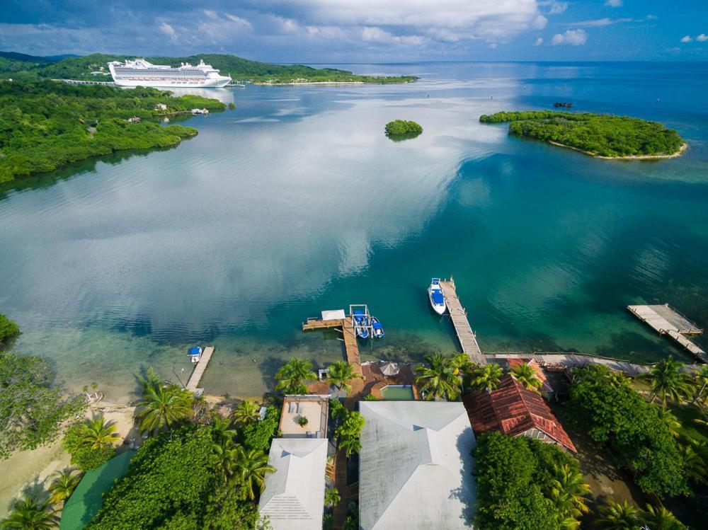 Wikkid Resort Dixon Cove Exteriér fotografie